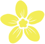 151917qdzzuf912rflik92.png
