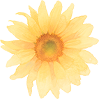 101151k91r9rtmpph7iv59.png