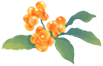 165028t1qips3ttwyyllme.png