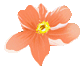 165037qwp7m3222nwmzp2r.gif