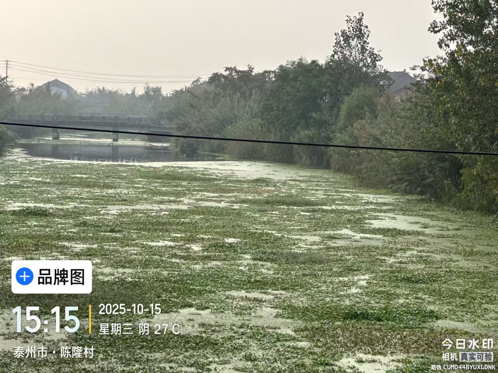 微信图片_20251029162743_26_576.jpg