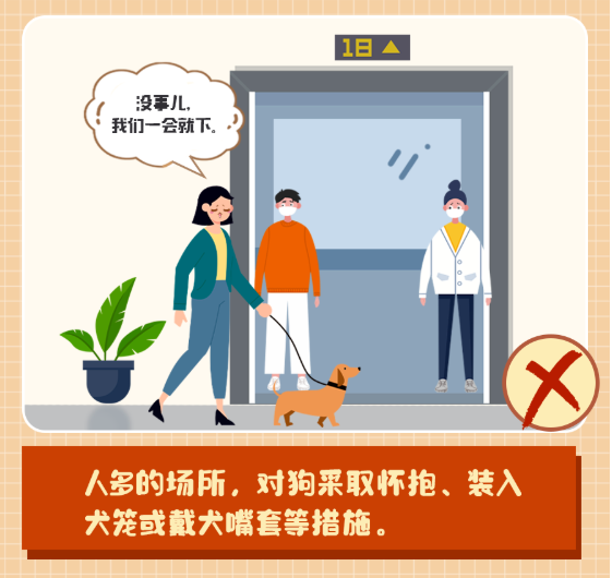 53958ba2655ebc4dca5c18307ef81eb4.png