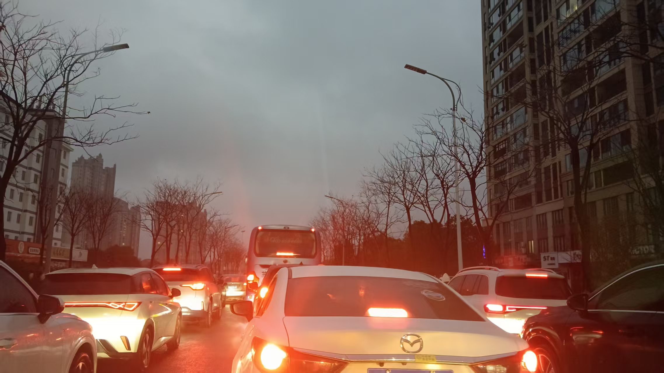微信图片_20260119110758_359_152.jpg