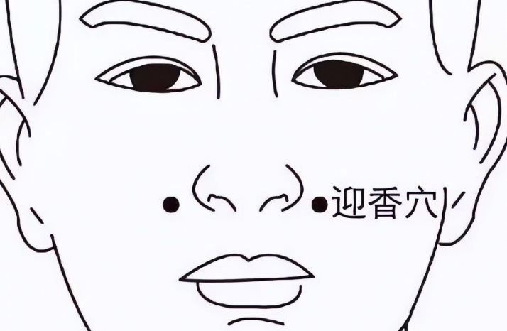 1eed2c0a504792c1b1c5a48b9d03a475.png