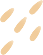 5426a33534440adf35f9d75ea8883a92.png