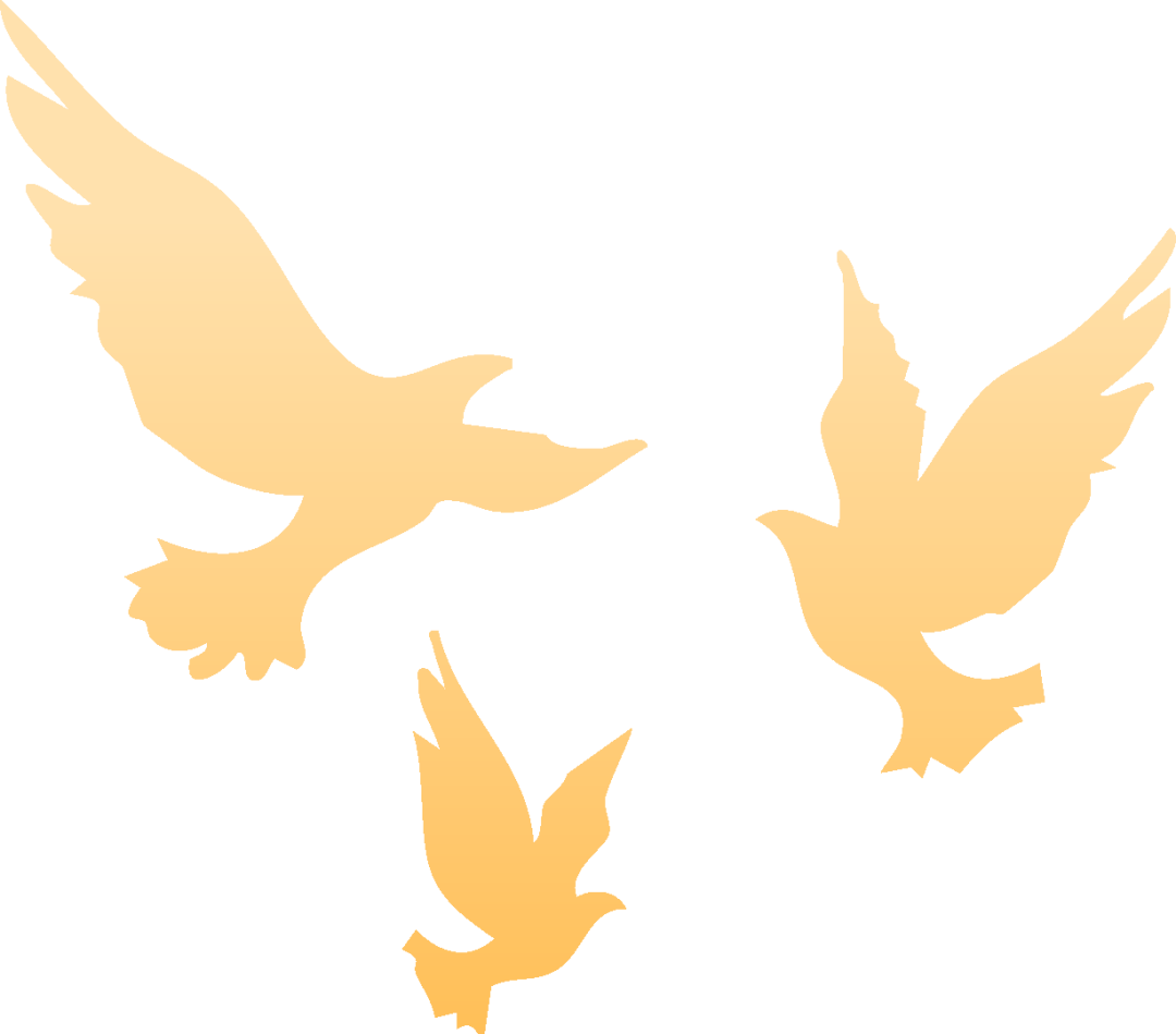 37323608e98f832ad608f4b7a3be296c.png