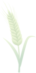 589f6726e95ba7f8d72c5a6426a57e6d.png