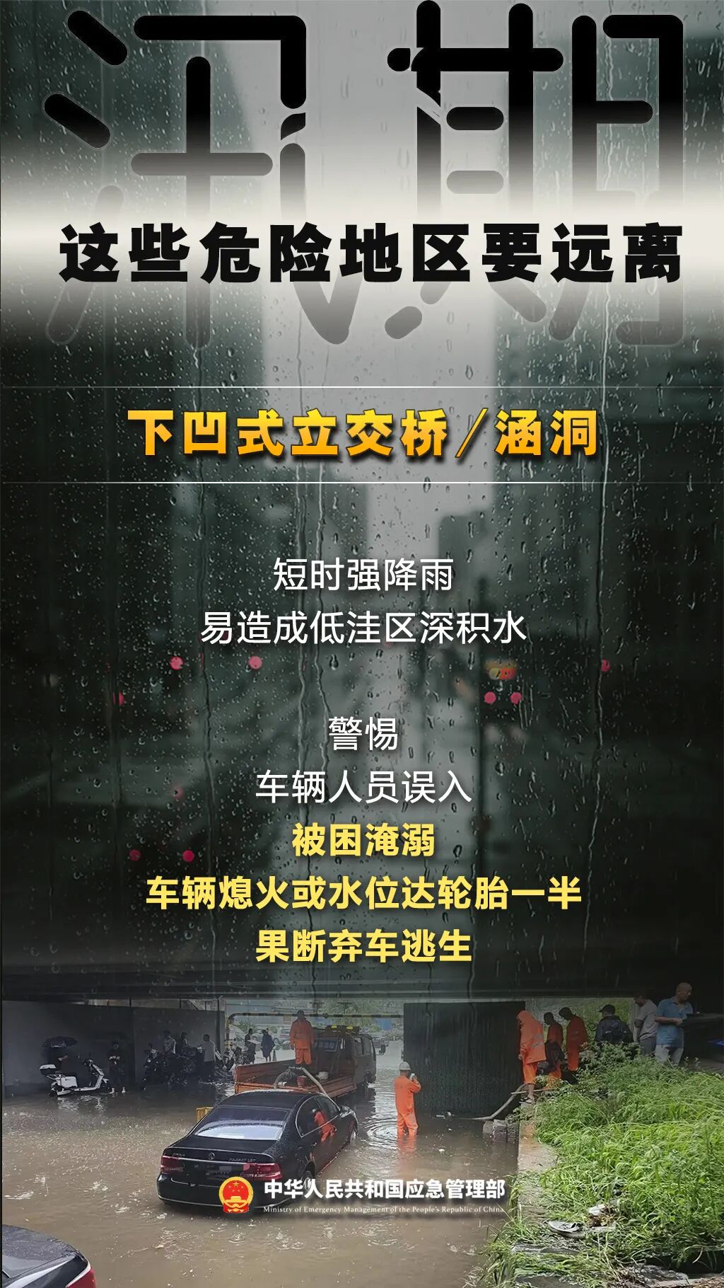 2fb12fcc32bc44a4310be8e8b0cf0315.jpeg