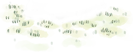 d34155c773e2cc16b1d5b5dd4f9a8414.png