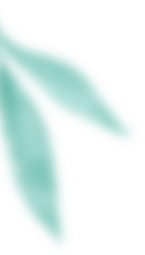 de19acbf1d95425ffdb6bf1de75c3b73.png