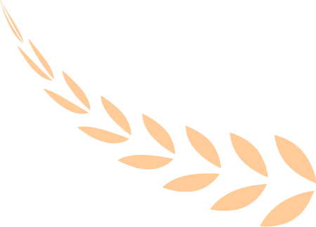 fa7181fd817405819b6515c447ca3b37.png