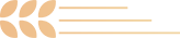 d92024f431c853045077284aa1919aae.png