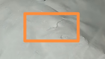 1b5e5f716ef52b1fa6637c6a9b522563.png