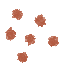 7920bc60e9147198e3e941cdf96e1355.png
