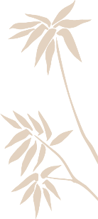a45c0c932d52e8be55e3ebf633a45c82.jpg