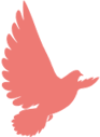 30ca01c7f6f4adb5cd720d2acf13a9e5.png
